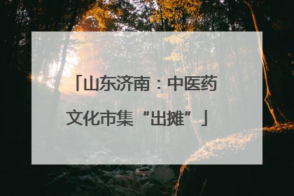 山东济南：中医药文化市集“出摊”